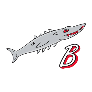 Logo of Boston